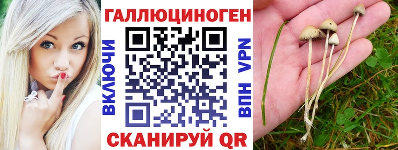 купить закладку  Дегтярск  Галлюциногенные грибы мухоморы 